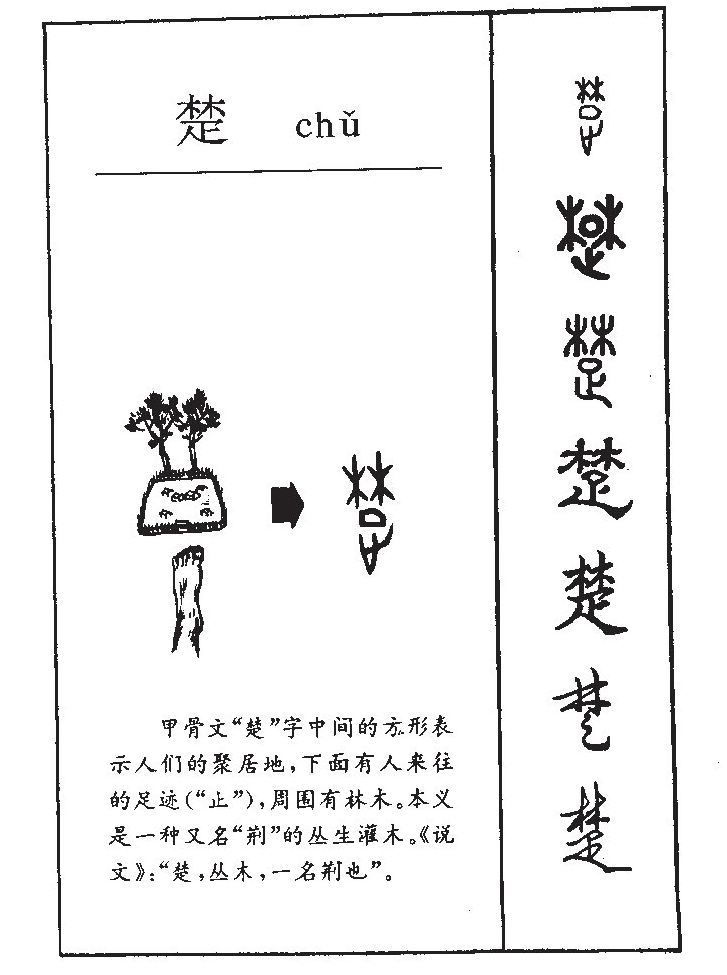 带楚字高贵儒雅的男孩名字经典又动人