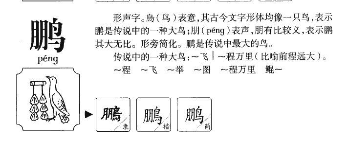 鹏可以组什么词图片